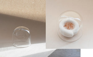 Petite Handblown Glass Cloche