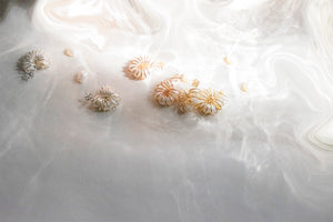 Ammonite Earrings